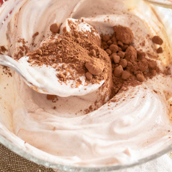 Cacao ecológico en polvo